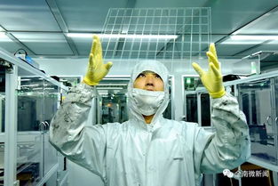 积极策应融入区链，全南电子信息产业强势崛起首位凸显